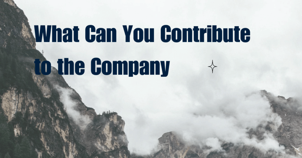 Answering What Can You Contribute To The Company + Samples